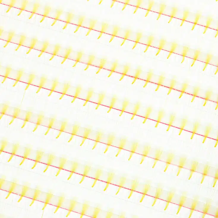 yellow-premade-fan-lashes-2