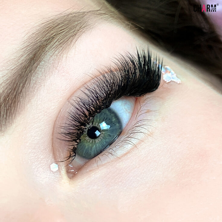 Cat eye lashes - C and L curl