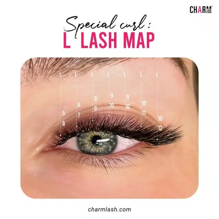 M, V, and L curl eyelash extensions: The differences you should know L curl lash map