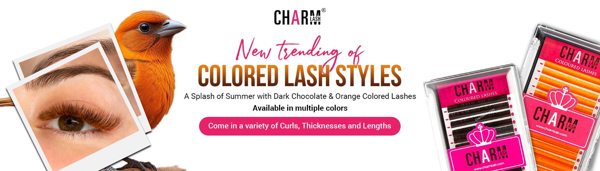 banner-colored-lash-charmlash