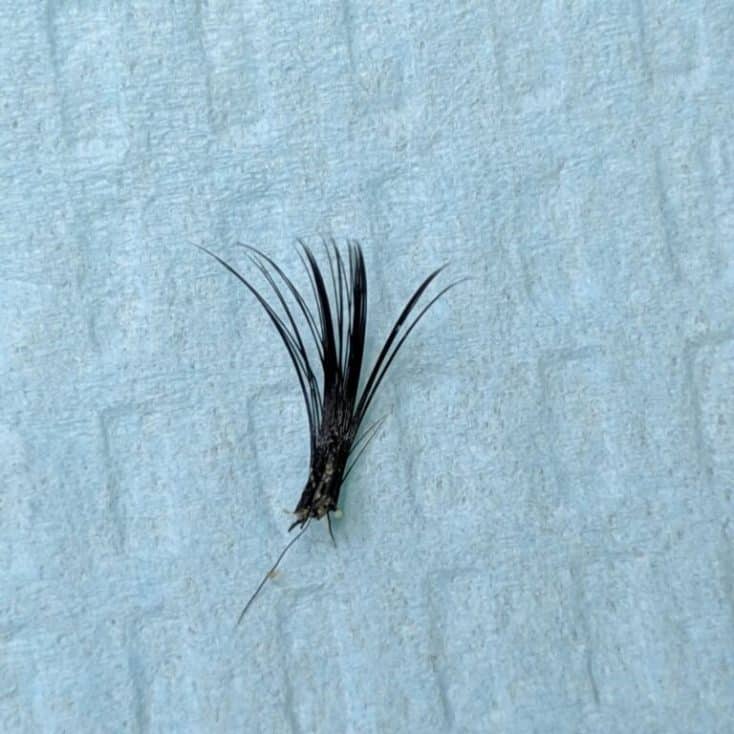 8 reasons that lead to bad lash extensions and how to prevent it not properly isolating lashes