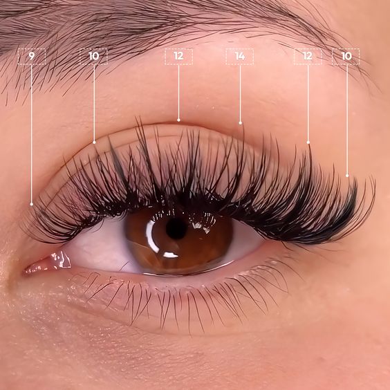 hybrid lashes