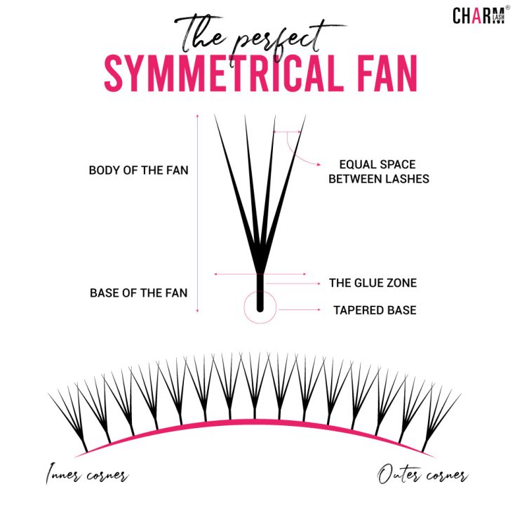 the-perfect-lash-fan-2