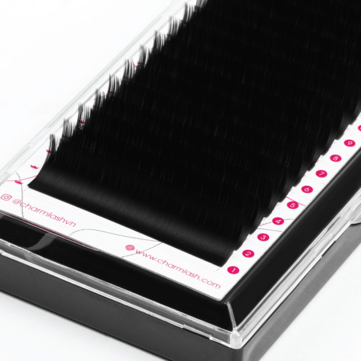 Cashmere Silk Lashes C Curl