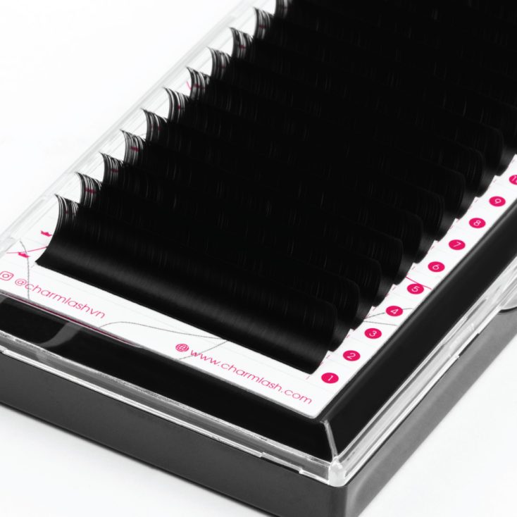 Cashmere Silk Lashes – D Curl Cashmere Silk Lashes D Curl