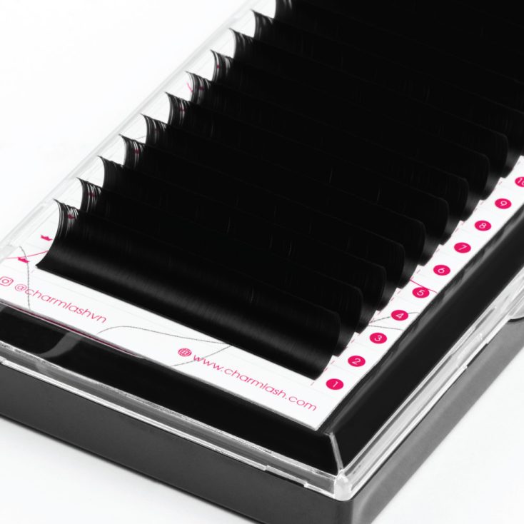 Cashmere Silk Lashes – DD/D+ Curl Cashmere Silk Lashes DD Curl