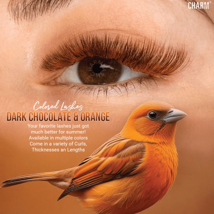 Why natural brown lash extensions are trending & How to get them! Why lash businesses should stock natural brown eyelash extensions