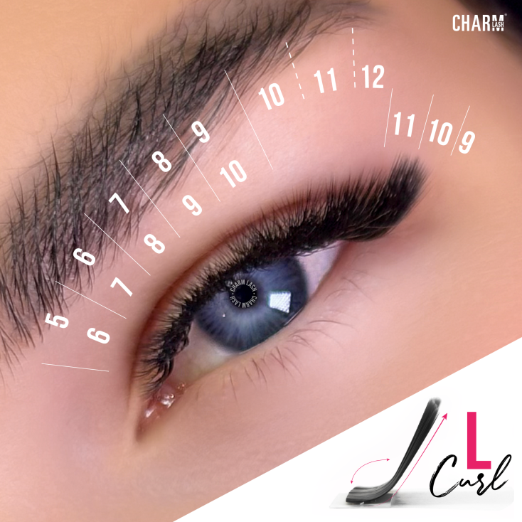 Lash Extension Curls Simplified: the Most Popular Ones Display of L curl for lash extension from CharmLash