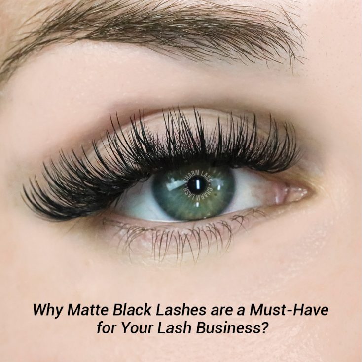 Why Matte Black Lashes are a Must-Have for Your Lash Business? Display of matte black lashes - a must have for your lash business
