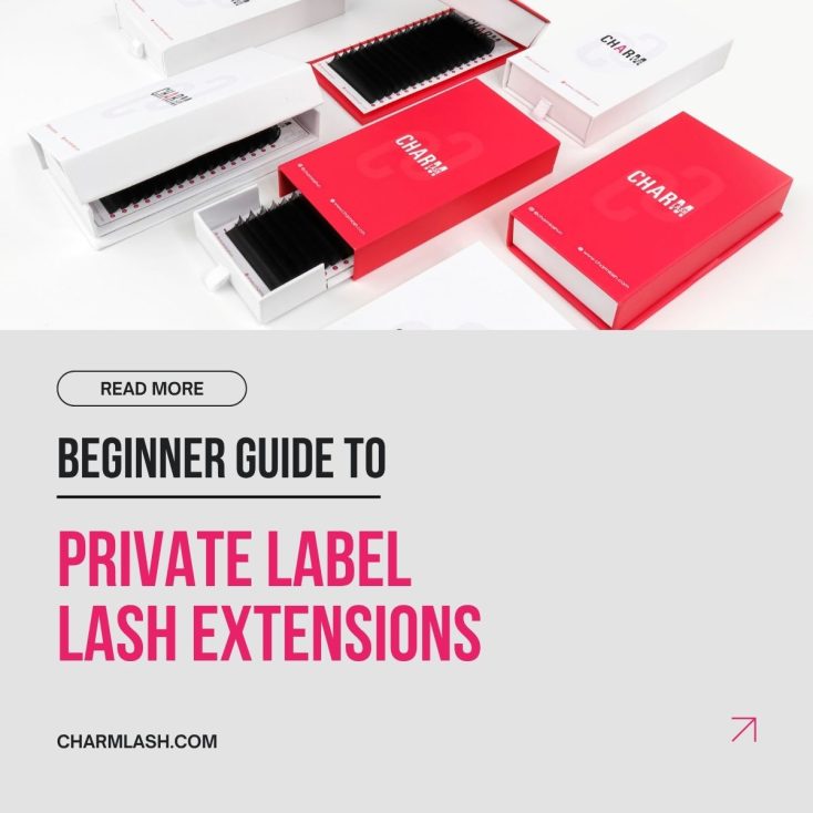 Compelte guide to private label lash extensions for lash brand owner tobe