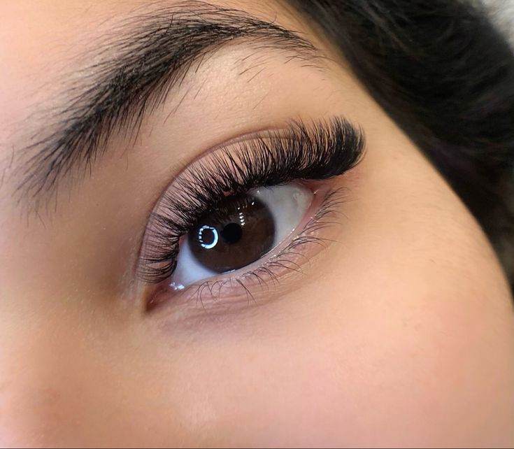 volume-lash-extensions-set-from-Madalina-Ancu-Beauty-Studio-Madalina-Ancu-Beauty-Studio