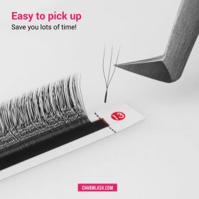 3D U-shaped lashes fan