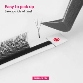 4D U-shaped Lashes 4D U-shaped lashes fan