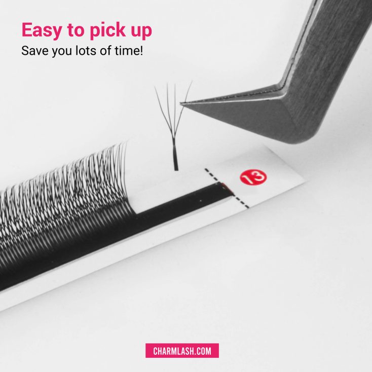 4D U-shaped Lashes 4D U-shaped lashes fan