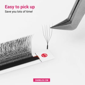 5D U-shaped Lashes 5D U-shaped lashes fan