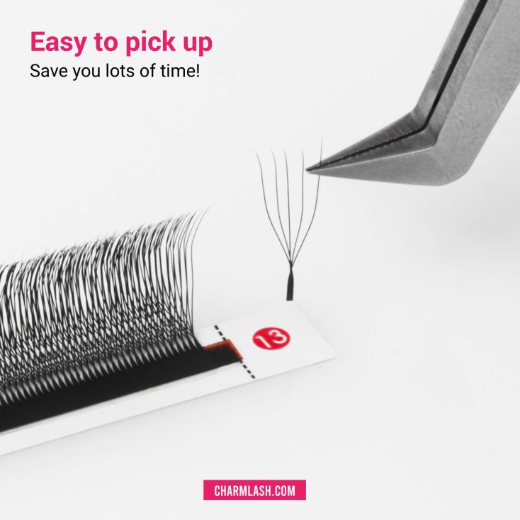 5D U-shaped Lashes 5D U-shaped lashes fan