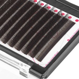 Brown 3D W lashes box