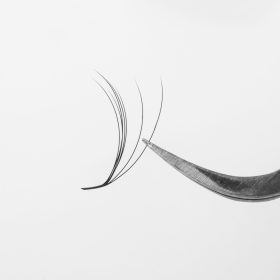 3D Camellia lashes fan zoom up