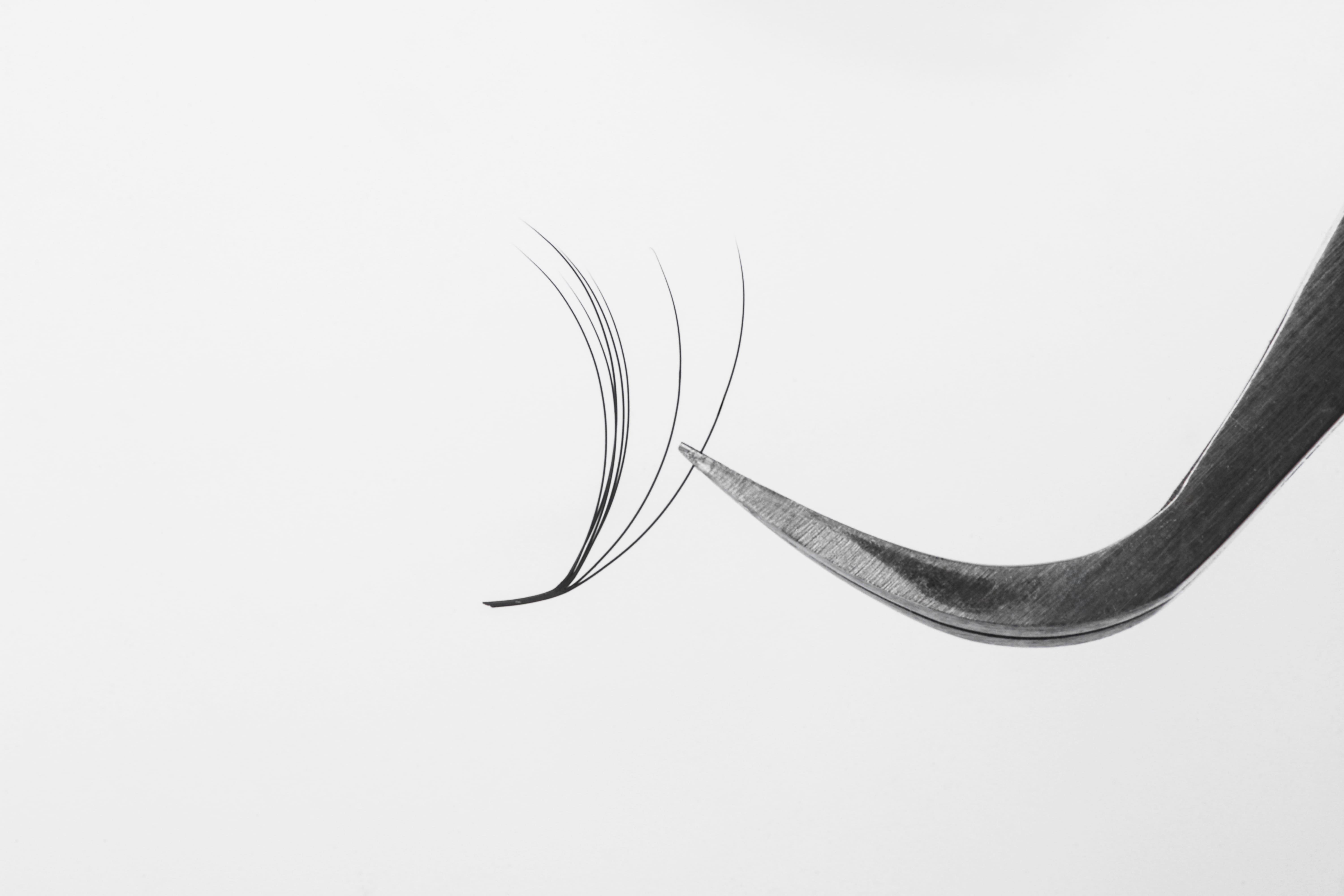 3D Camellia lashes fan zoom up