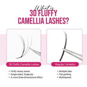 3D Camellia lashes vs regular camellia lashes