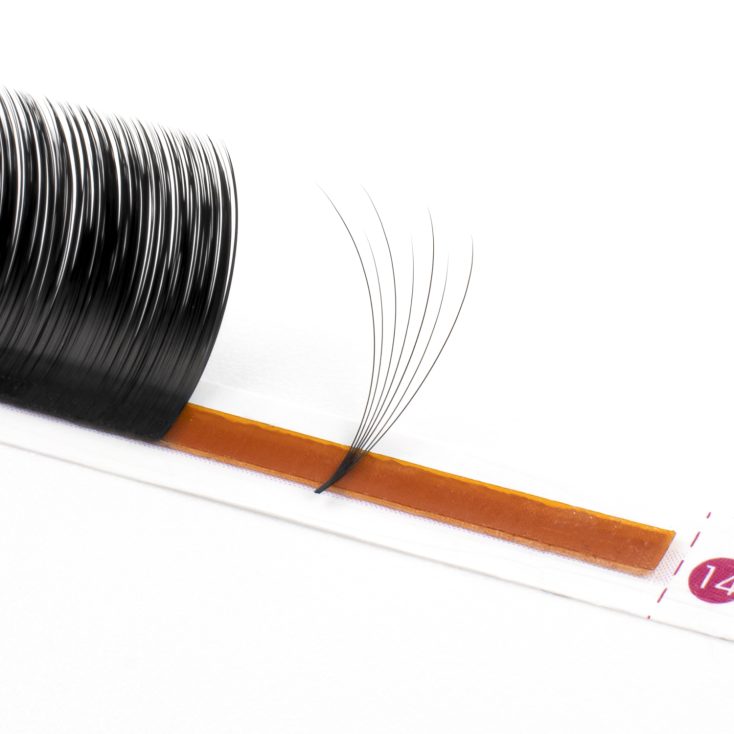 Camellia lashes - double layered easy fan by Charmlash