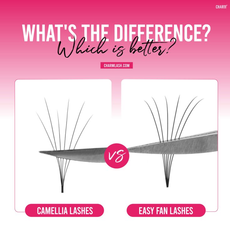 Camellia lashes vs Easy Fan lashes: What's the difference? Which is better?
