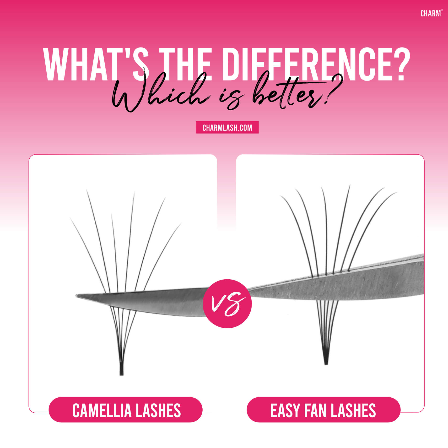 Camellia lashes vs Easy Fan lashes: What's the difference? Which is better?