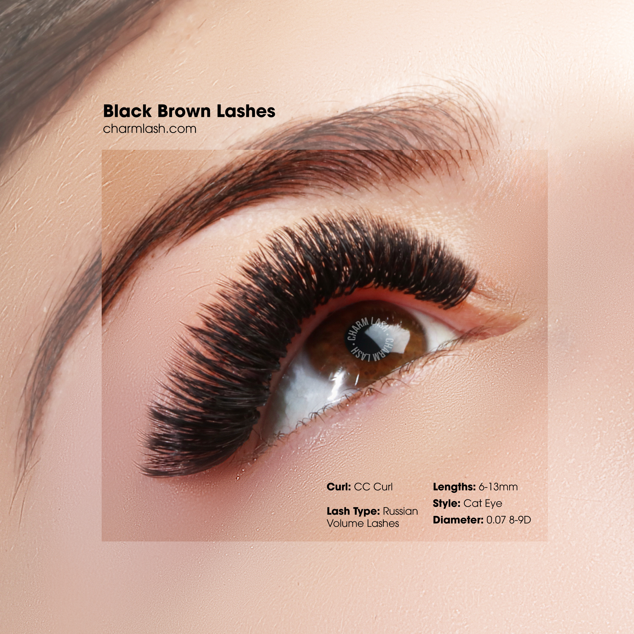 Black-Brown-Eyelash-extensions-Cat-Eye-CC-6-13mm
