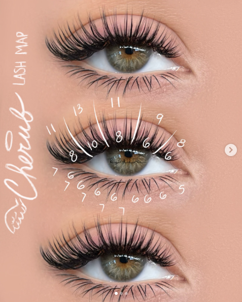 Camellia-Fan-Lashes-lash-map