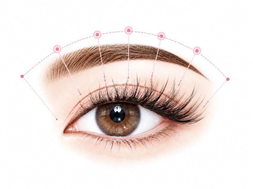 Camellia-Fan-Lashes-wispy