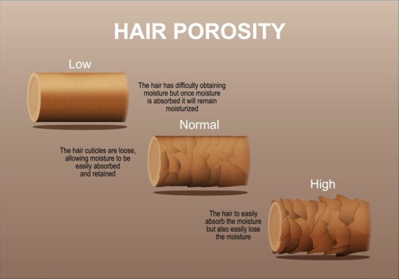 Hair-porosity