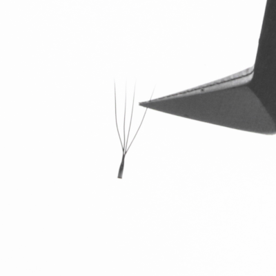 U Shaped Eyelash Extensions: The Refined Upgrade to YY & W Lashes U-Shaped-Eyelash-Extensions-4D