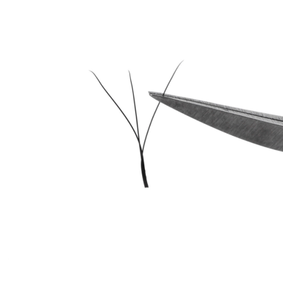 U Shaped Eyelash Extensions: The Refined Upgrade to YY & W Lashes W-Lash-Fan