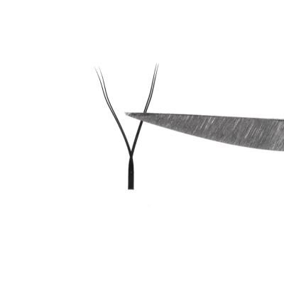 U Shaped Eyelash Extensions: The Refined Upgrade to YY & W Lashes YY-Lash-Fan