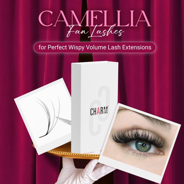 Camellia Fan Lashes for Perfect Wispy Volume Lash Extensions
