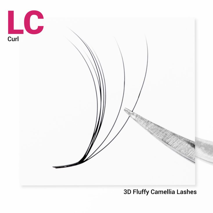 Camellia-Fan-Lashes-for-Perfect-Wispy-Volume-Lash-Extensions-1