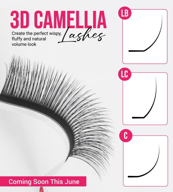 Camellia-Fan-Lashes-for-Perfect-Wispy-Volume-Lash-Extensions-2