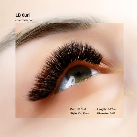 LB-Curl-Lashes-outcome