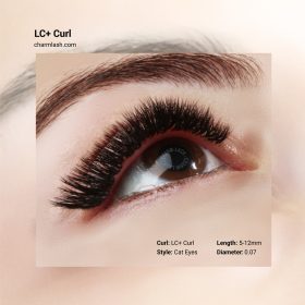 LC-Plus-curl-lashes-outcome