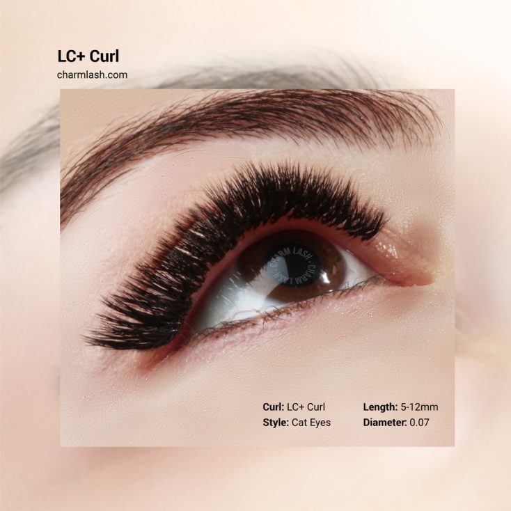 LC-Plus-curl-lashes-outcome