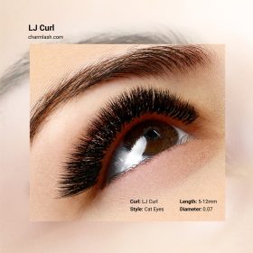 LJ-Curl-Lashes-outcome