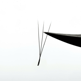 Narrow 3DW Fan Lashes