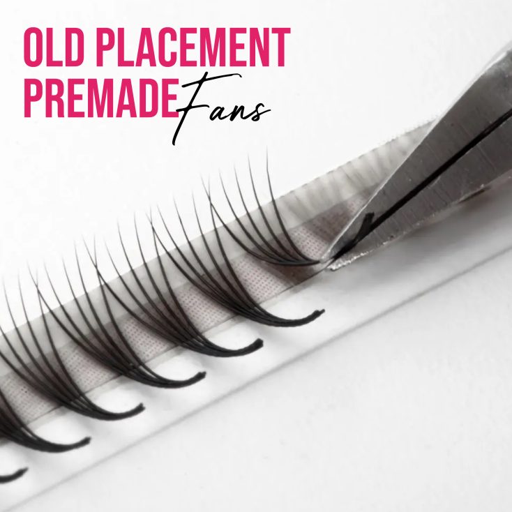 Premade-eyelash-fans-new-placement-1