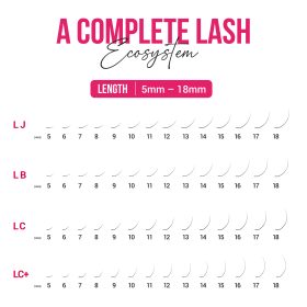 LB, LJ, Lc, LC plus curl lashes