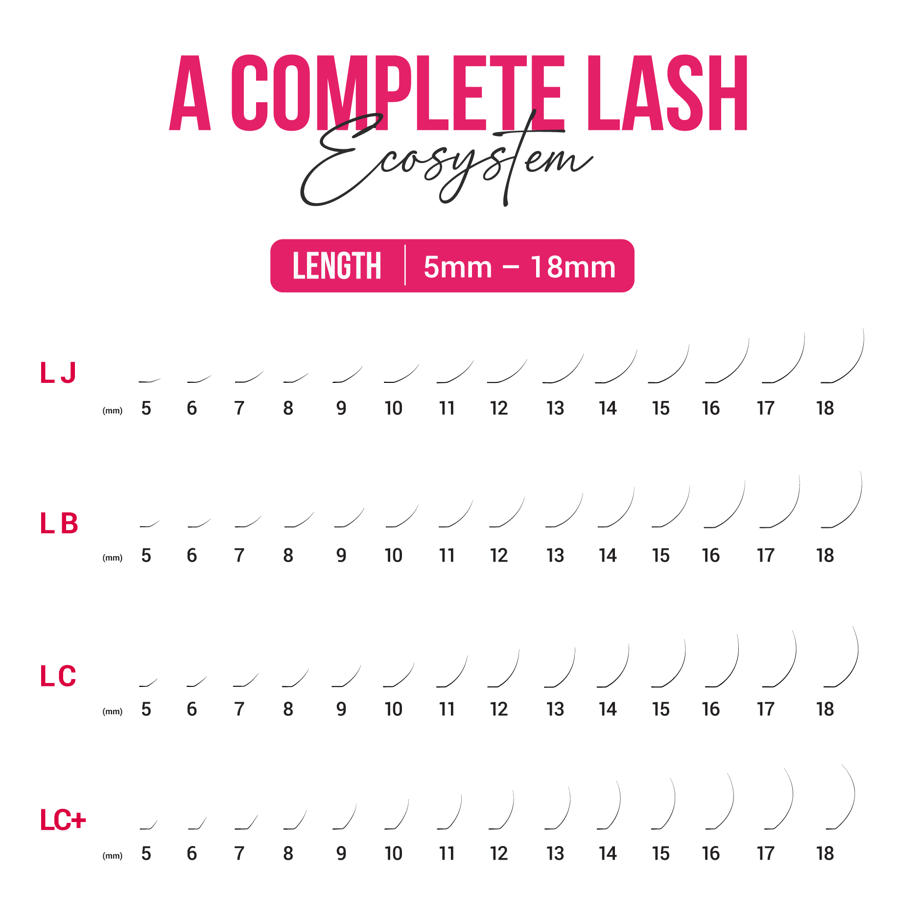 LB, LJ, Lc, LC plus curl lashes