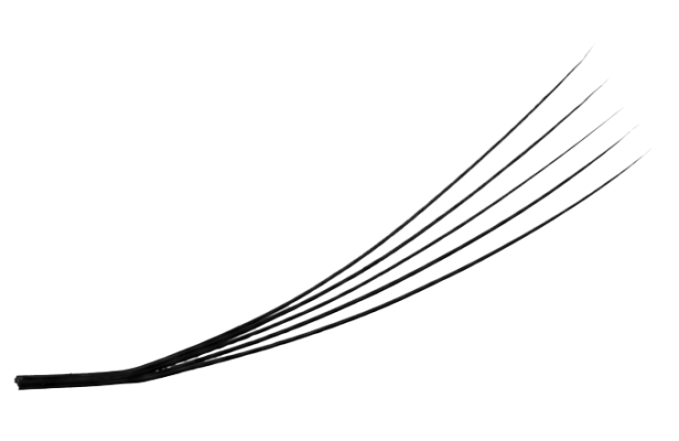 Premade Fan LJ Curl