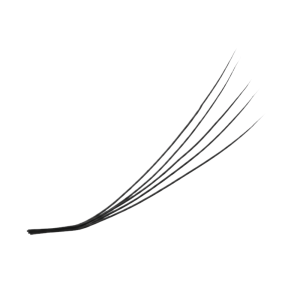 Premade Fan Lashes LB Curl